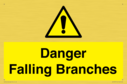 danger-falling-branches~
